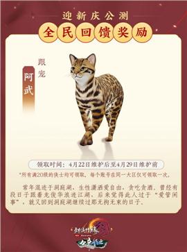 天龙八部私服内部托